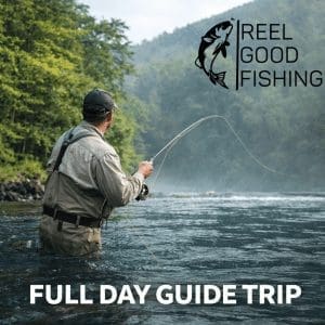 Full Day Guided Fly Fishing Trip Near Little Rock